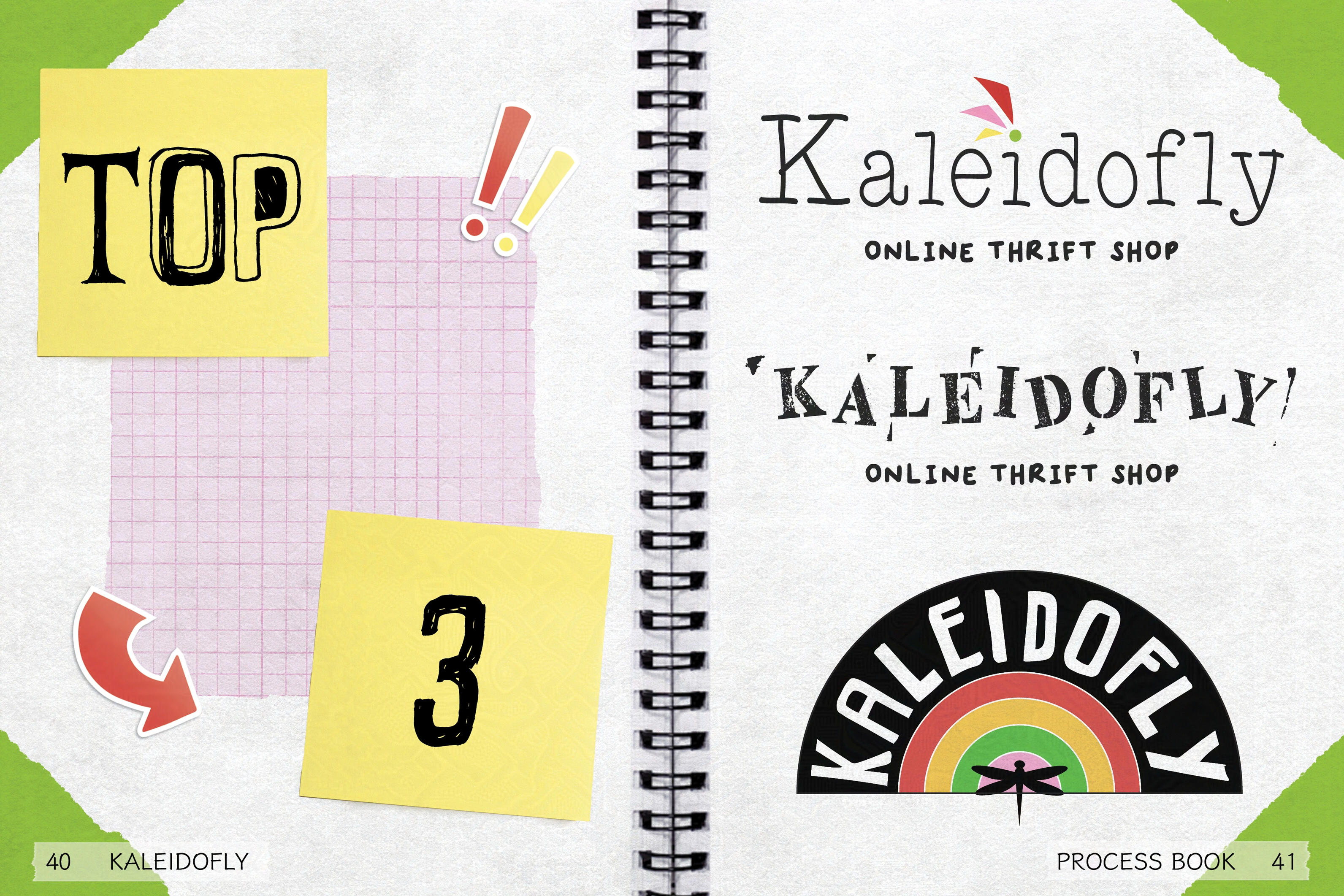 "Kaleidofly" • Pg. 40-41